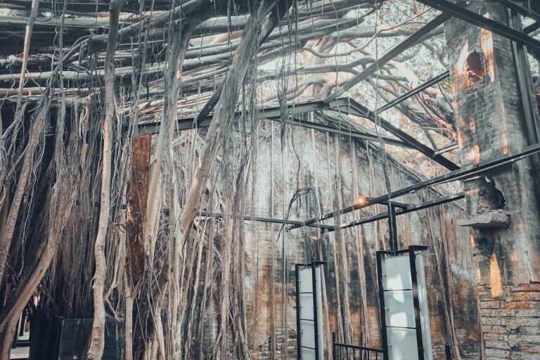 安平樹屋 Anping Tree House